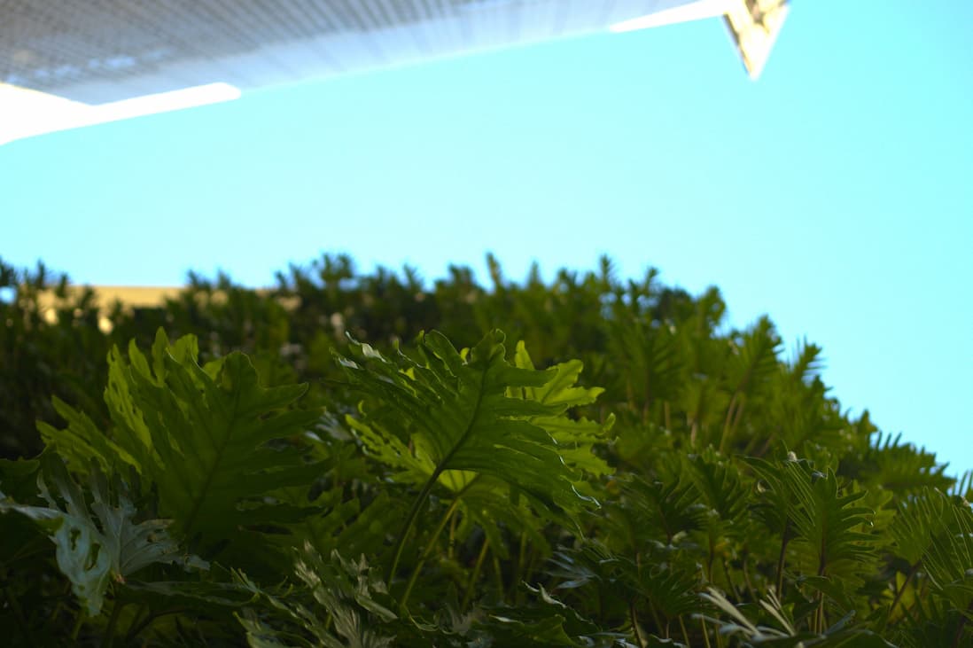 NABERS emission factors database